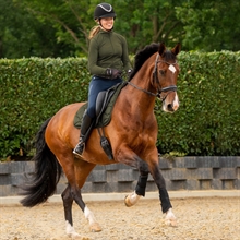 QHP dressuurbeschermers Jorine